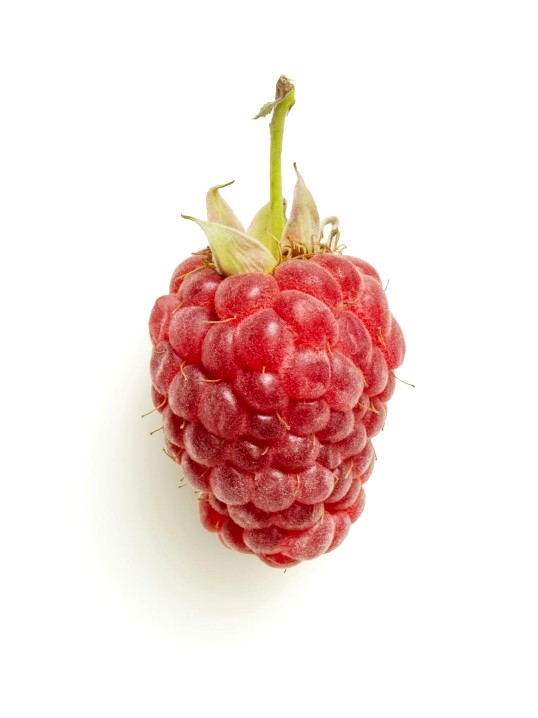 Amuse